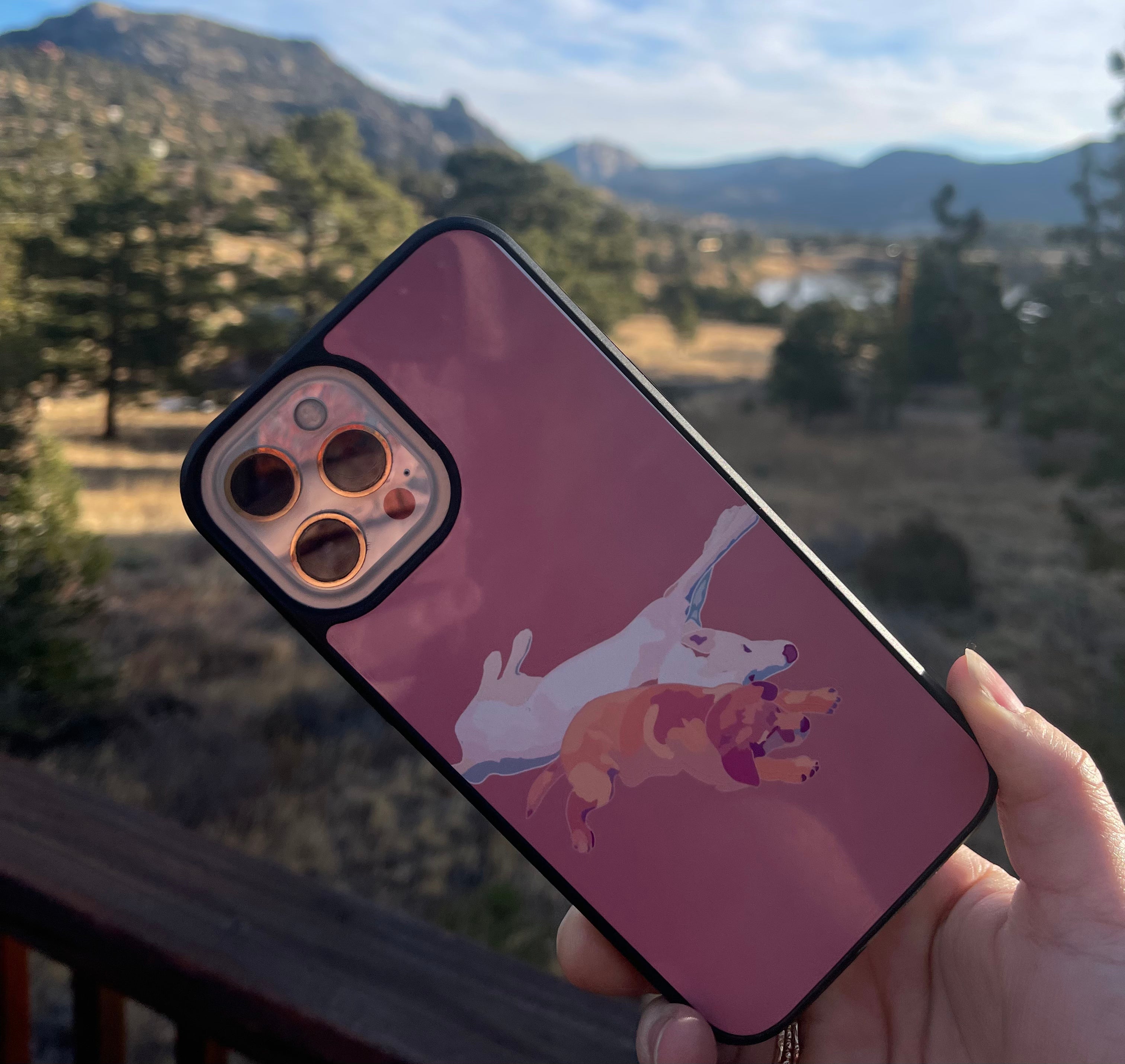Custom Iphone cases