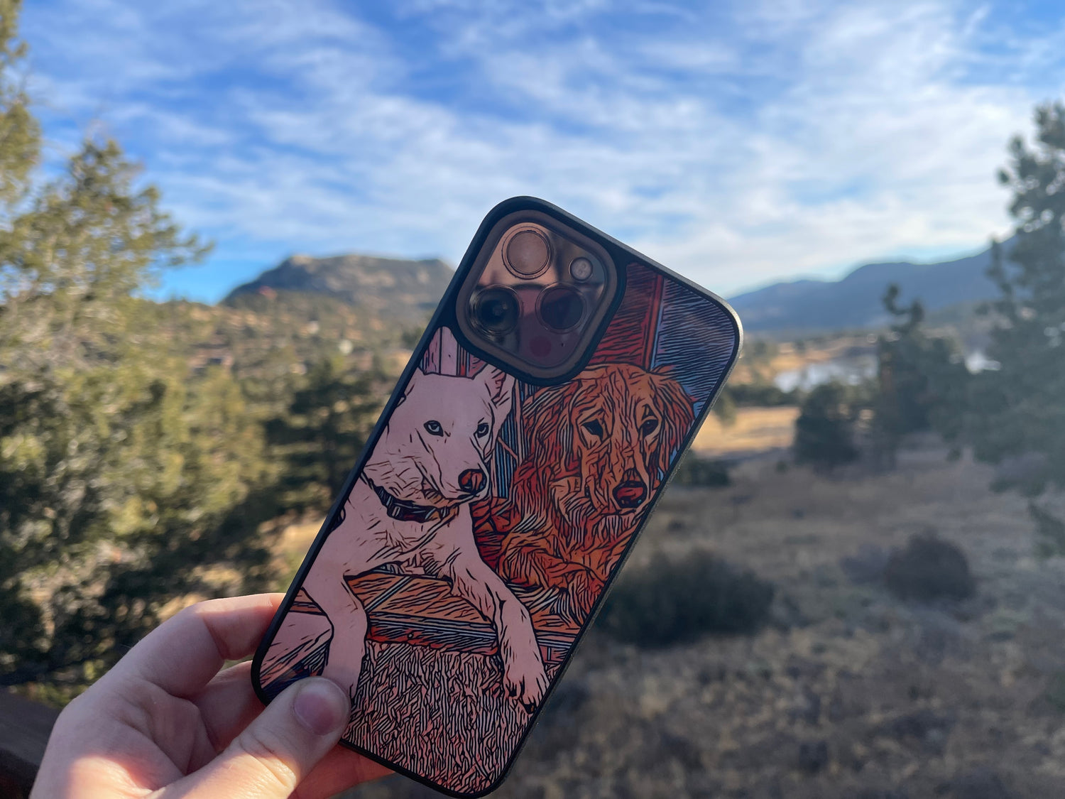 Custom Iphone Cases